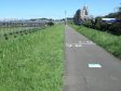 多摩川サイクリング